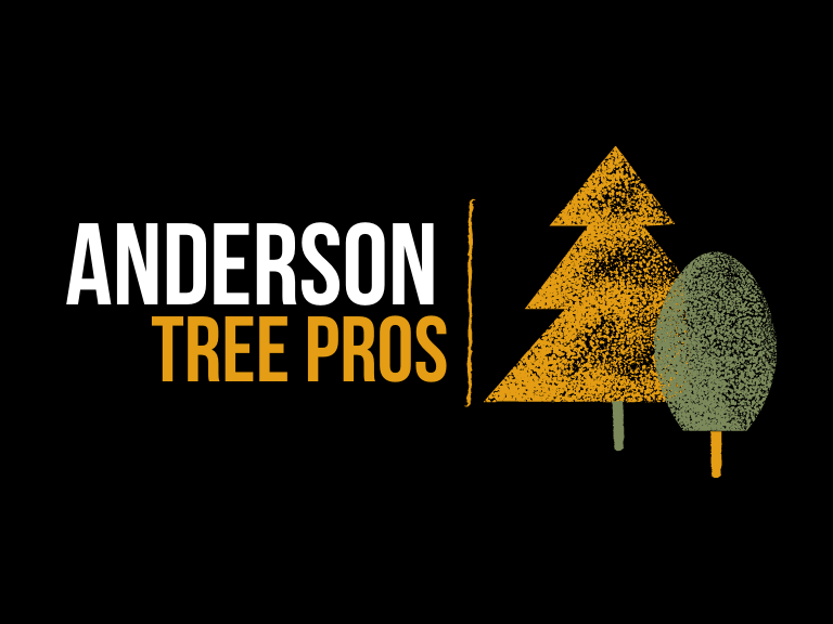 anderson indiana tree service pros horizontal logo with black background and two trees
