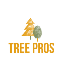 anderson tree service best tree service in town