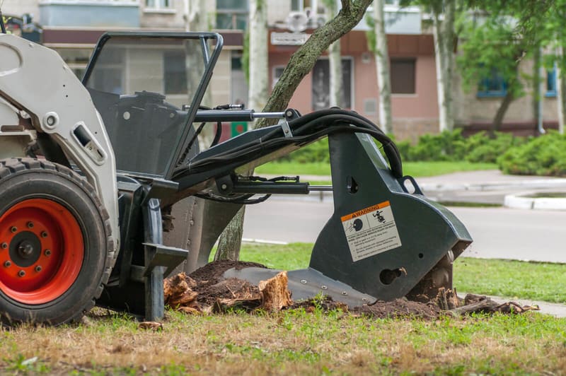 stump grinder during a residential stump removal grinding a stump